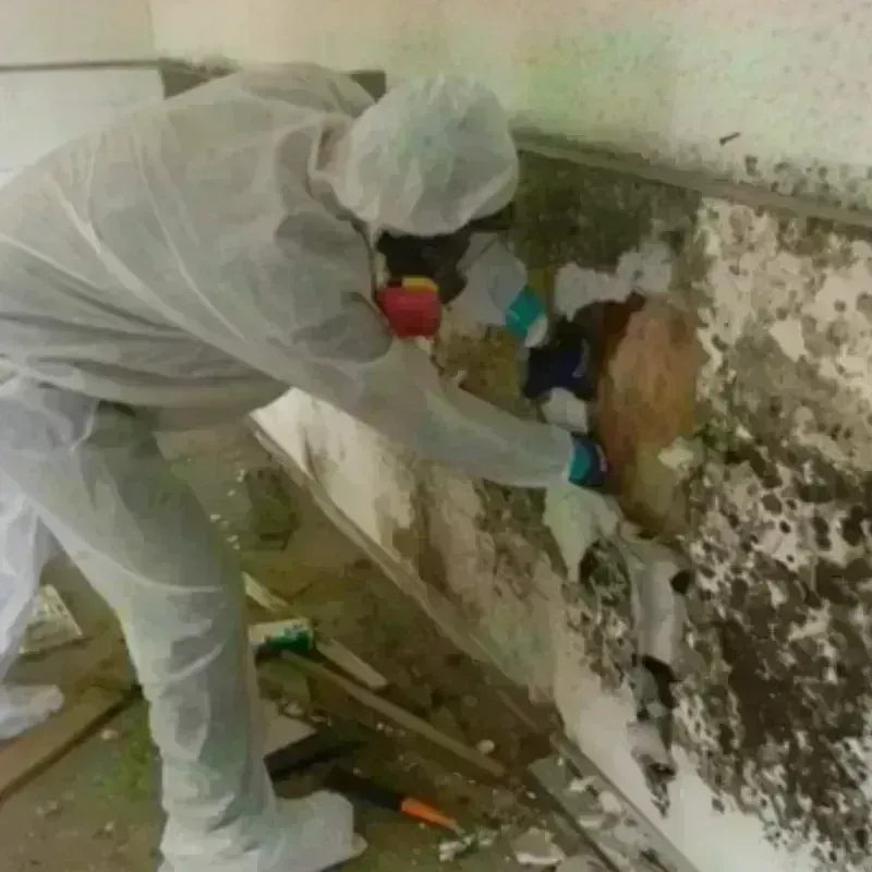 Mold Remediation and Removal in Lake Lakengren, OH